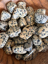 Dalmatian Jasper Pebble